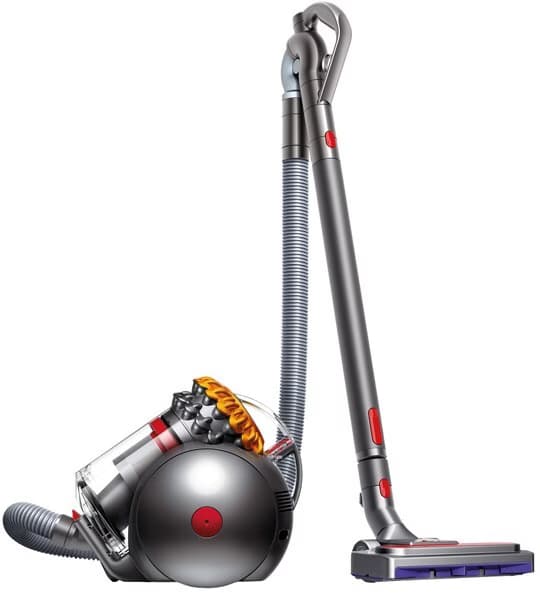 DYSON BIG BALL ALLERGY 2