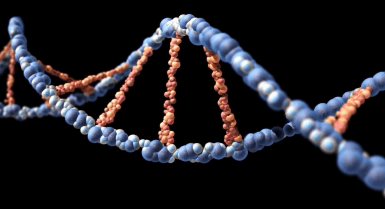 В PRO Hi-Tech рассказали о квантовых компьютерах и их перспективах