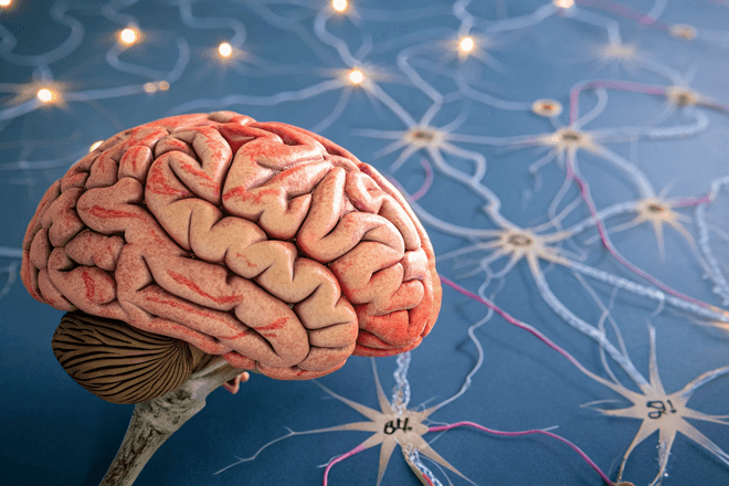 Датчики в стиле киригами точно отобразили активность нейронов