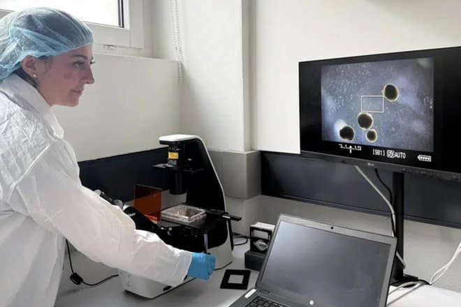 Ученые выращивают миниатюрные человеческие мозги для питания компьютеров