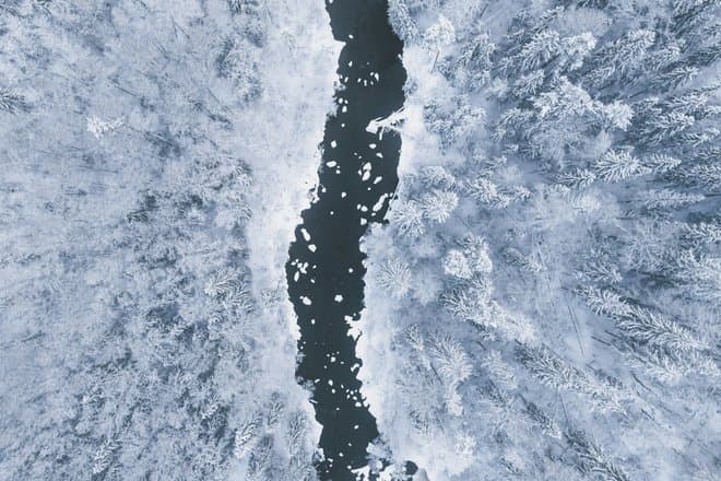 Арктические острова могут быть «холодильниками» для выживания видов при сильном потеплении
