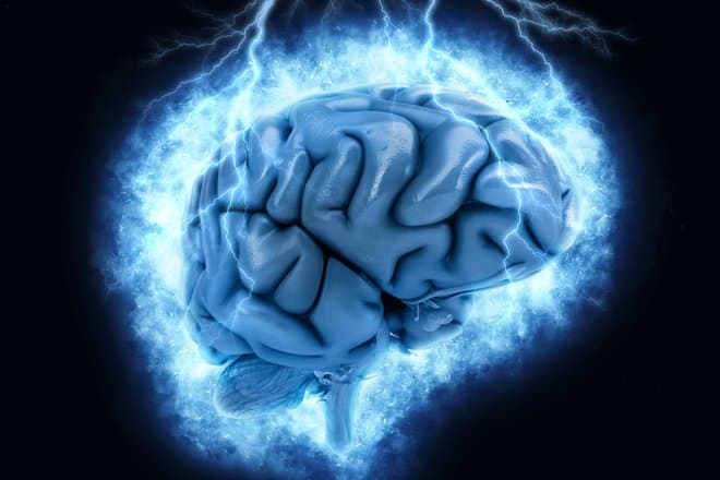 В России впервые создадут цифровую модель человеческого мозга