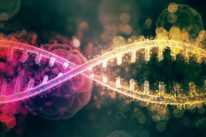 Компьютер сжимает время: изучение опасных патологий сократилось с десятилетий до дней