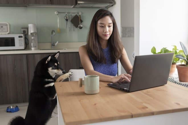 Описан ключевой недостаток ноутбуков на Windows